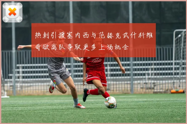 热刺引援塞内西与范赫克武什科维奇欲离队争取更多上场机会