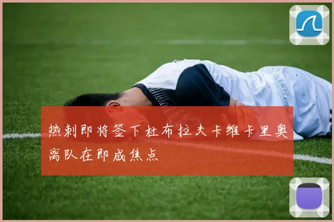 热刺即将签下杜布拉夫卡维卡里奥离队在即成焦点